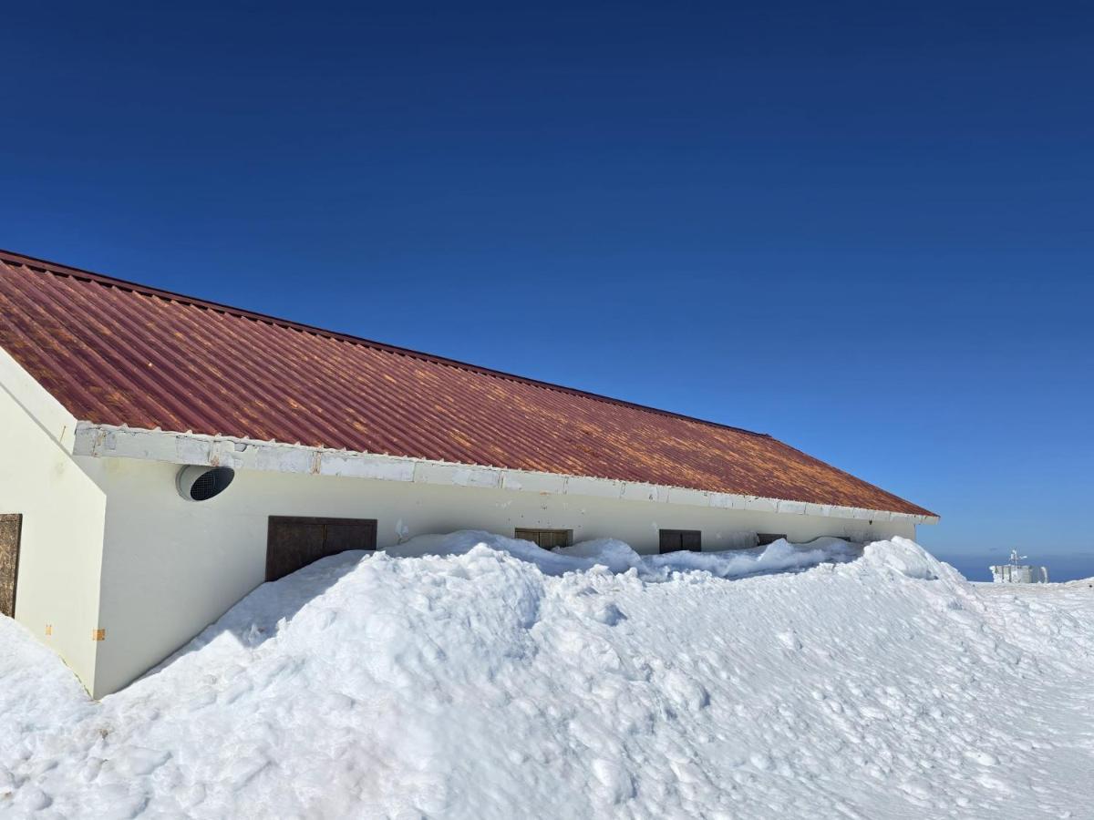 Hotel Albergaria Senhora Do Espinheiro Сейя Экстерьер фото